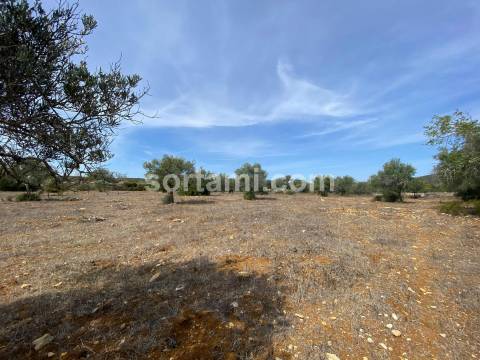 Terreno Para Construção  Venda em São Brás de Alportel,São Brás de Alportel