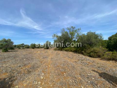 Terreno Para Construção  Venda em São Brás de Alportel,São Brás de Alportel