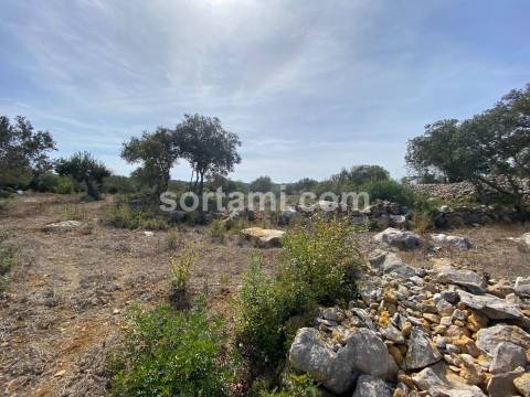 Terreno Para Construção  Venda em São Brás de Alportel,São Brás de Alportel
