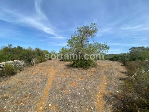 Terreno Para Construção  Venda em São Brás de Alportel,São Brás de Alportel
