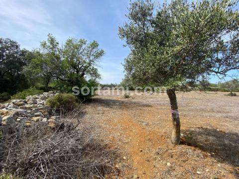 Terreno Para Construção  Venda em São Brás de Alportel,São Brás de Alportel