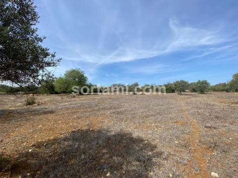 Terreno Para Construção  Venda em São Brás de Alportel,São Brás de Alportel