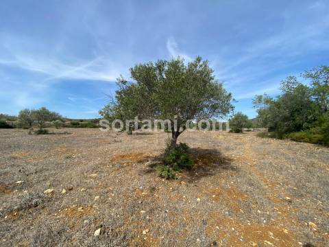 Terreno Para Construção  Venda em São Brás de Alportel,São Brás de Alportel