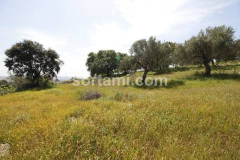 Hotel  Venda em São Brás de Alportel,São Brás de Alportel