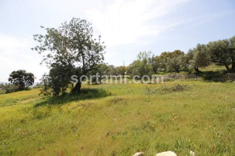 Hotel  Venda em São Brás de Alportel,São Brás de Alportel