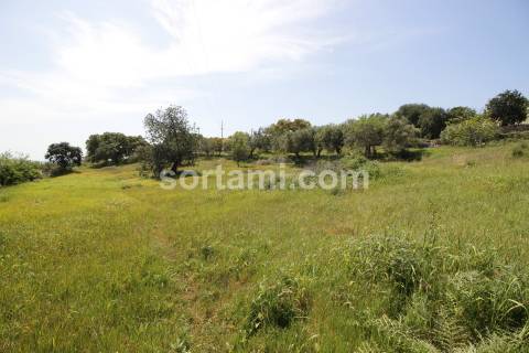 Hotel  Venda em São Brás de Alportel,São Brás de Alportel