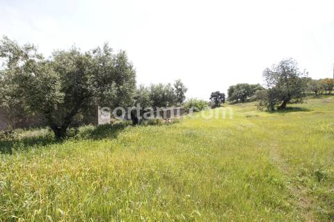 Hotel  Venda em São Brás de Alportel,São Brás de Alportel