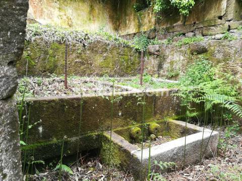 Moradia Devoluta  Venda em Penhalonga e Paços de Gaiolo,Marco de Canaveses
