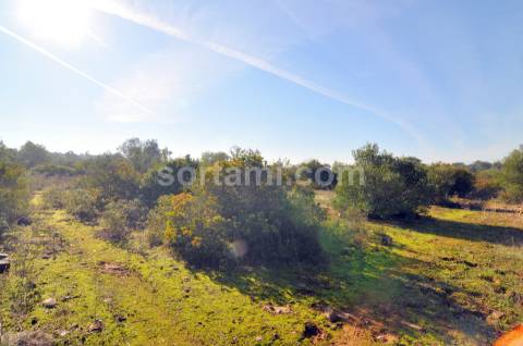 Moradia Devoluta T4 Venda em Conceição e Estoi,Faro