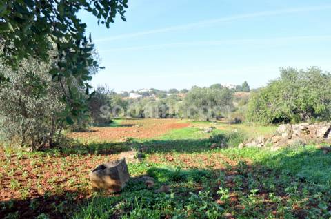 Moradia Devoluta T4 Venda em Conceição e Estoi,Faro