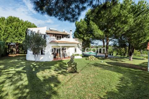 Moradia Isolada T4 Venda em Alcantarilha e Pêra,Silves