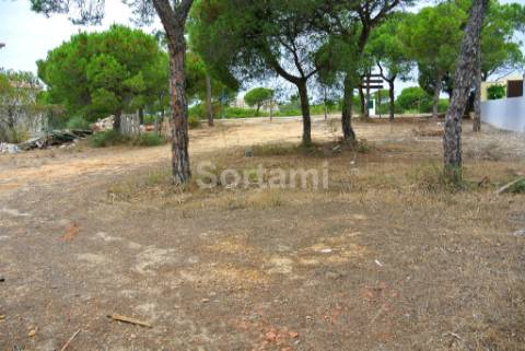Terreno Para Construção  Venda em Almancil,Loulé