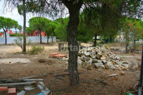 Terreno Para Construção  Venda em Almancil,Loulé