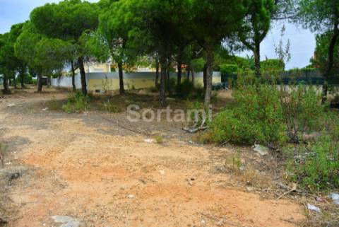 Terreno Para Construção  Venda em Almancil,Loulé