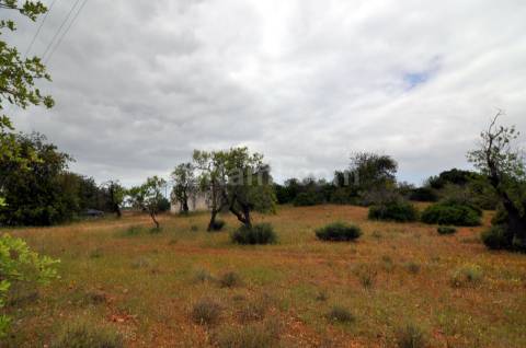 Moradia Devoluta T3 Venda em Pechão,Olhão
