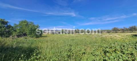 Terreno Rústico  Venda em Conceição e Estoi,Faro