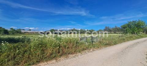 Terreno Rústico  Venda em Conceição e Estoi,Faro