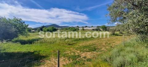 Terreno Rústico  Venda em Conceição e Estoi,Faro