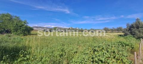 Terreno Rústico  Venda em Conceição e Estoi,Faro