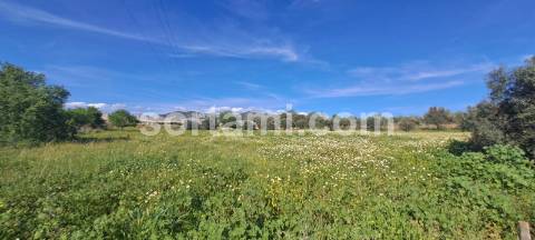 Terreno Rústico  Venda em Conceição e Estoi,Faro