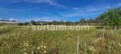 Terreno Rústico  Venda em Conceição e Estoi,Faro