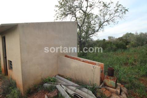 Terreno Rústico  Venda em São Bartolomeu de Messines,Silves