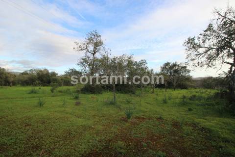Terreno Rústico  Venda em São Bartolomeu de Messines,Silves