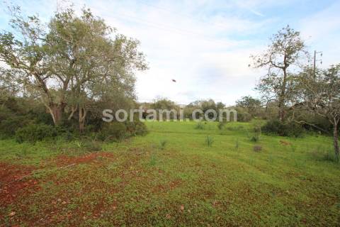 Terreno Rústico  Venda em São Bartolomeu de Messines,Silves