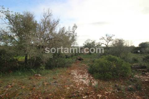 Terreno Rústico  Venda em São Bartolomeu de Messines,Silves