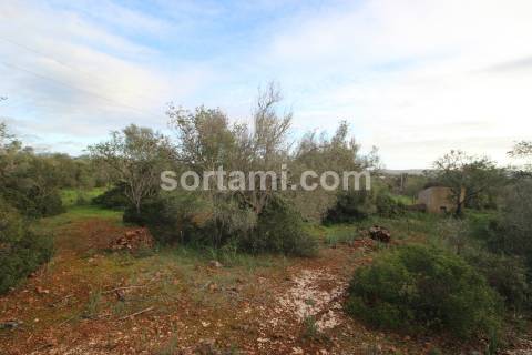 Terreno Rústico  Venda em São Bartolomeu de Messines,Silves