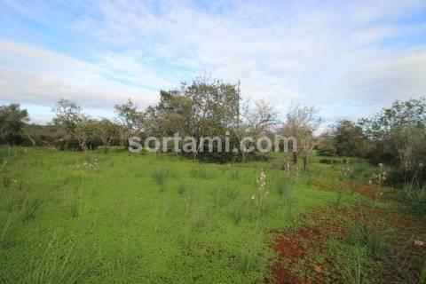 Terreno Rústico  Venda em São Bartolomeu de Messines,Silves