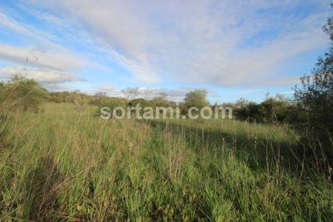 Terreno Rústico  Venda em São Bartolomeu de Messines,Silves