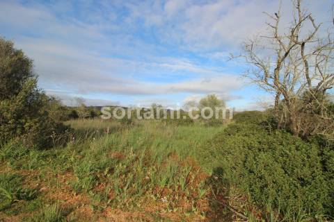 Terreno Rústico  Venda em São Bartolomeu de Messines,Silves