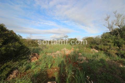 Terreno Rústico  Venda em São Bartolomeu de Messines,Silves