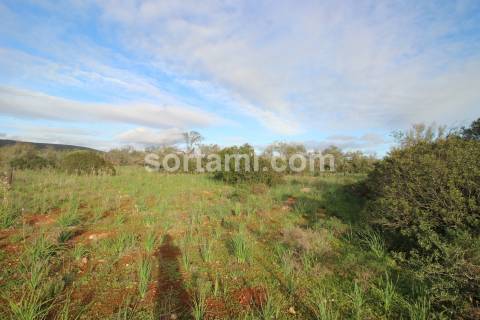 Terreno Rústico  Venda em São Bartolomeu de Messines,Silves
