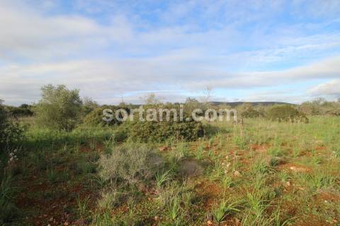 Terreno Rústico  Venda em São Bartolomeu de Messines,Silves