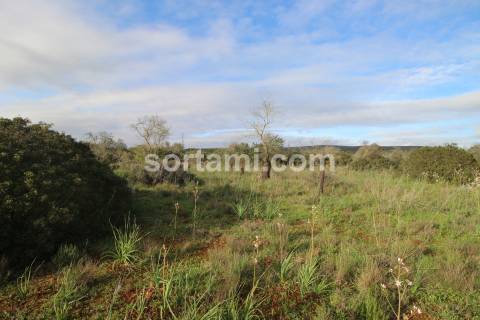Terreno Rústico  Venda em São Bartolomeu de Messines,Silves