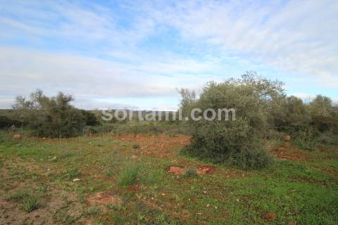 Terreno Rústico  Venda em São Bartolomeu de Messines,Silves