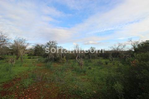 Terreno Rústico  Venda em São Bartolomeu de Messines,Silves