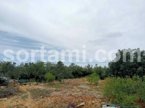 Moradia Isolada T1+1 Venda em Loulé (São Clemente),Loulé