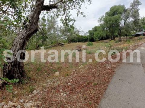 Moradia Isolada T1+1 Venda em Loulé (São Clemente),Loulé