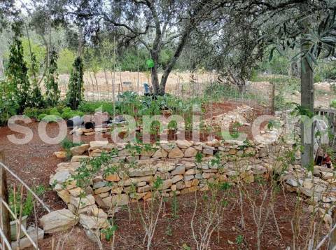 Moradia Isolada T1+1 Venda em Loulé (São Clemente),Loulé