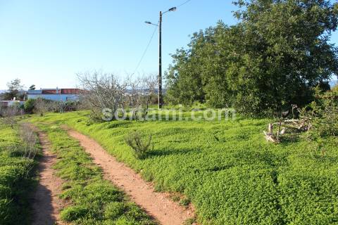 Terreno Rústico  Venda em Estômbar e Parchal,Lagoa (Algarve)