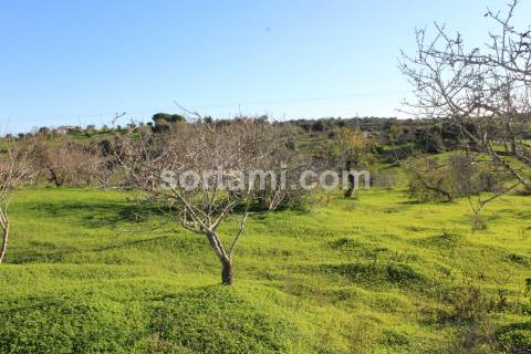Terreno Rústico  Venda em Estômbar e Parchal,Lagoa (Algarve)