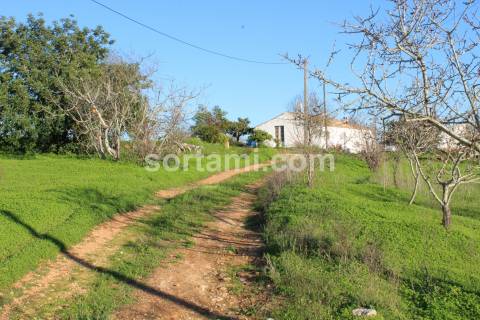 Terreno Rústico  Venda em Estômbar e Parchal,Lagoa (Algarve)
