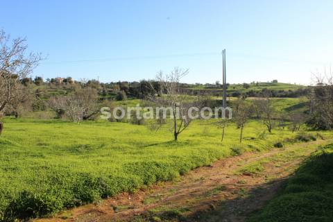 Terreno Rústico  Venda em Estômbar e Parchal,Lagoa (Algarve)