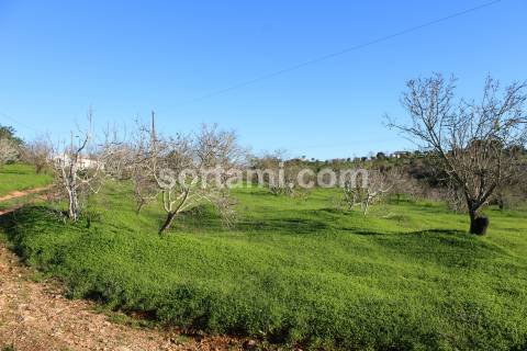 Terreno Rústico  Venda em Estômbar e Parchal,Lagoa (Algarve)