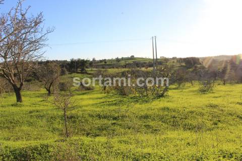 Terreno Rústico  Venda em Estômbar e Parchal,Lagoa (Algarve)