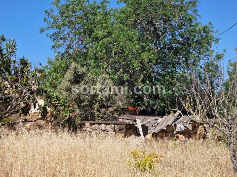 Moradia Devoluta  Venda em Santa Bárbara de Nexe,Faro