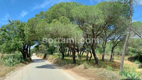 Terreno Para Construção  Venda em Almancil,Loulé